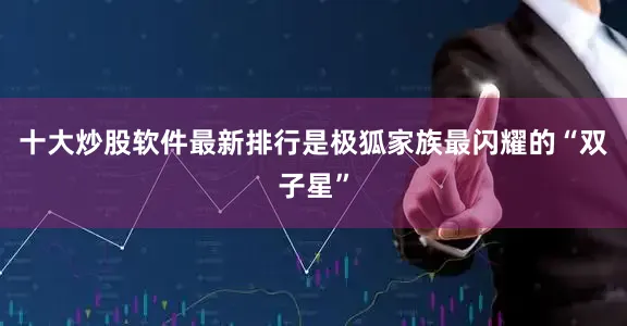 十大炒股软件最新排行是极狐家族最闪耀的“双子星”