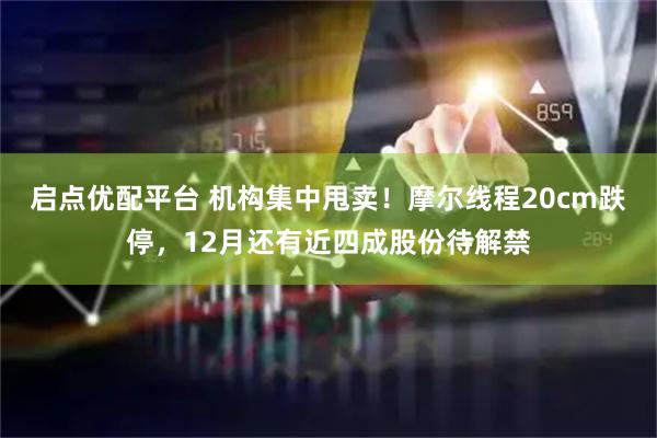 启点优配平台 机构集中甩卖！摩尔线程20cm跌停，12月还有近四成股份待解禁
